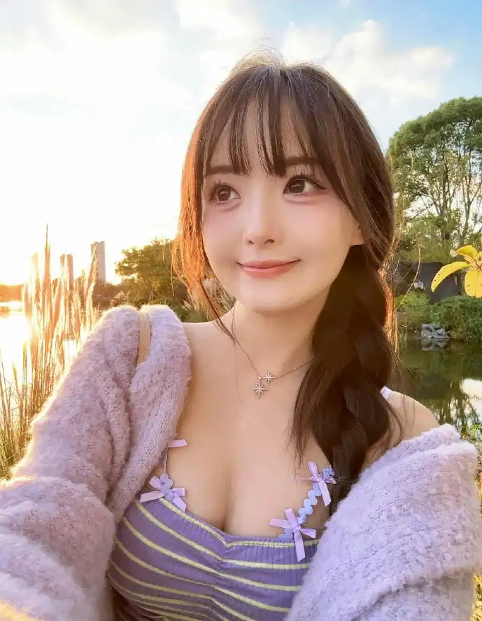 警察模拟游戏界面